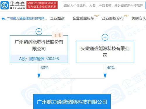 鵬輝能源參股成立儲能科技新公司，注冊資本達1億元，拓展信息系統(tǒng)集成服務(wù)