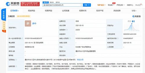 愛奇藝在重慶成立科技公司，拓展創(chuàng)業(yè)空間與信息系統(tǒng)集成服務(wù)